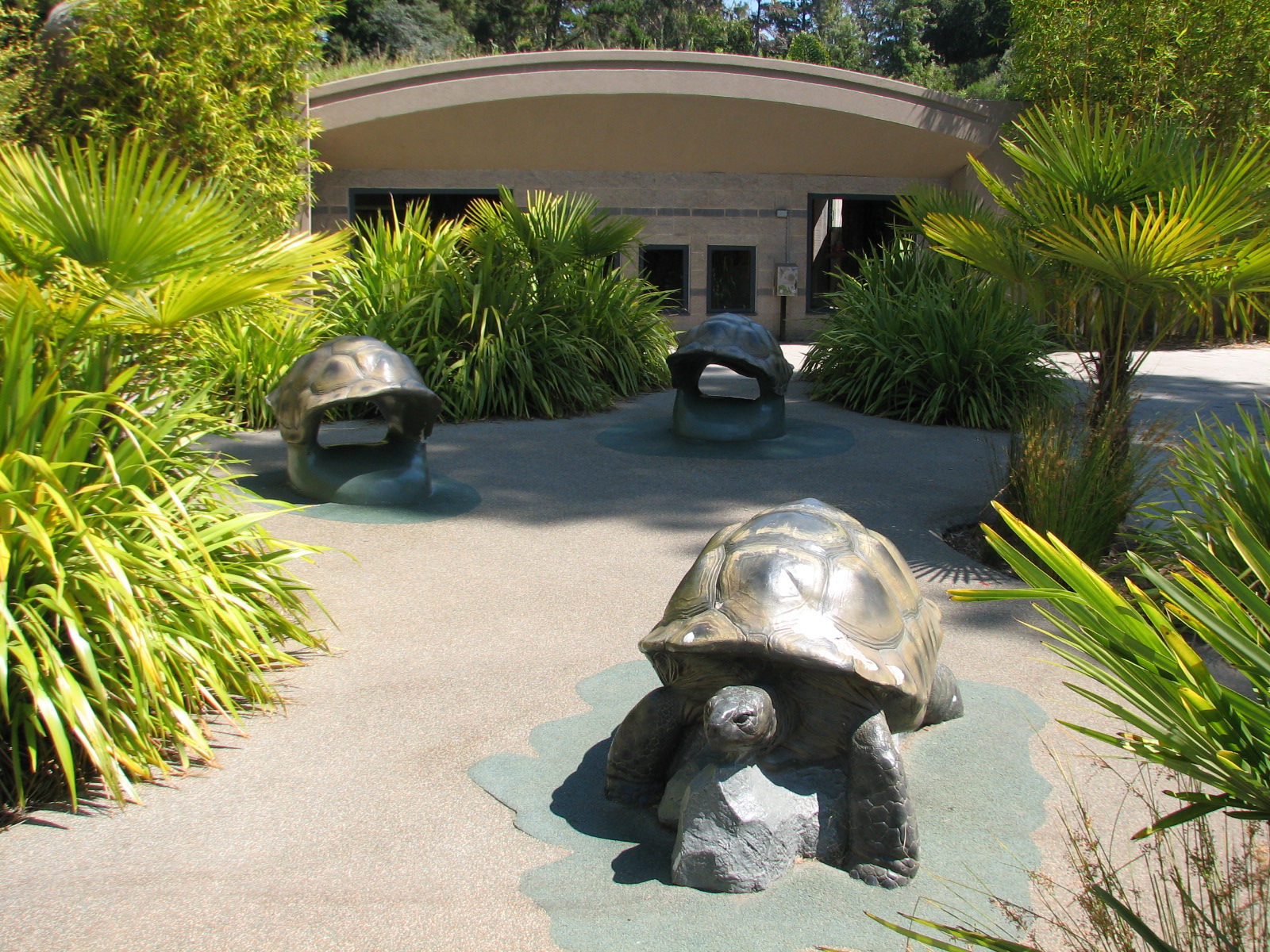 Childrens Zoo - Aldabra Tortoise Exhibit - Play Area