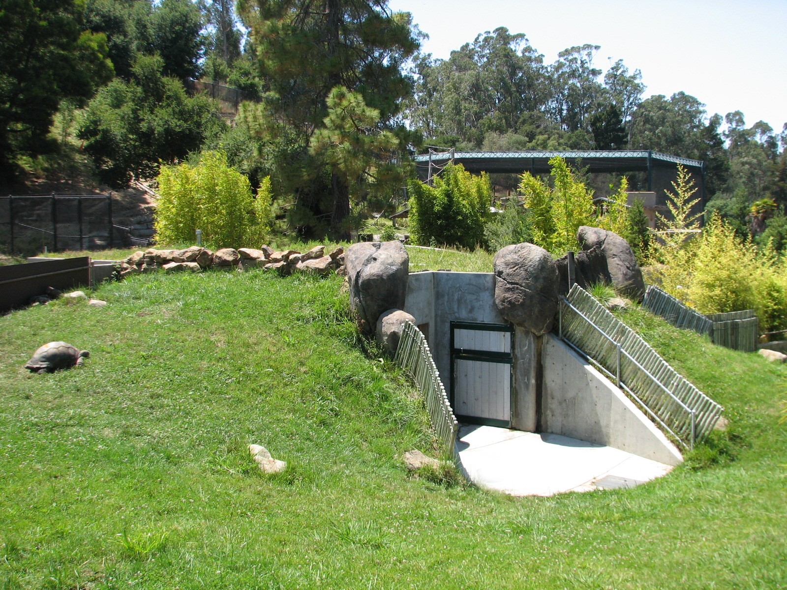 Childrens Zoo - Aldabra Tortoise Exhibit
