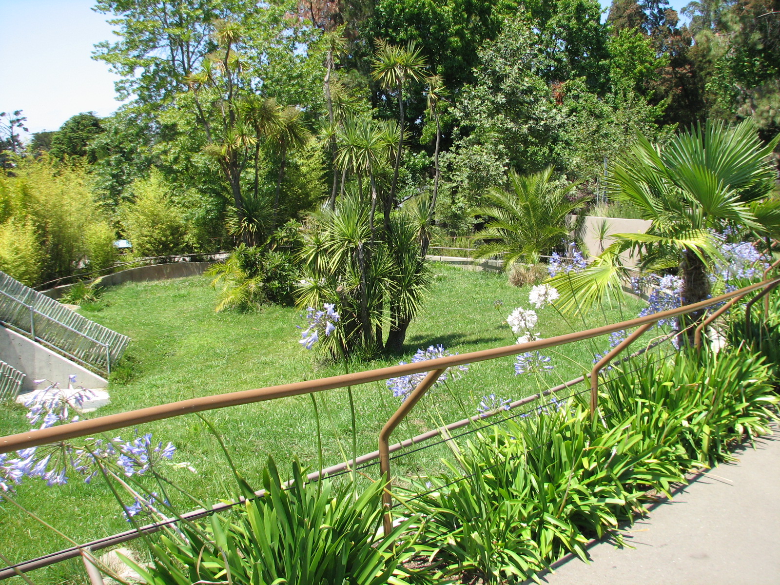 Childrens Zoo - Aldabra Tortoise Exhibit