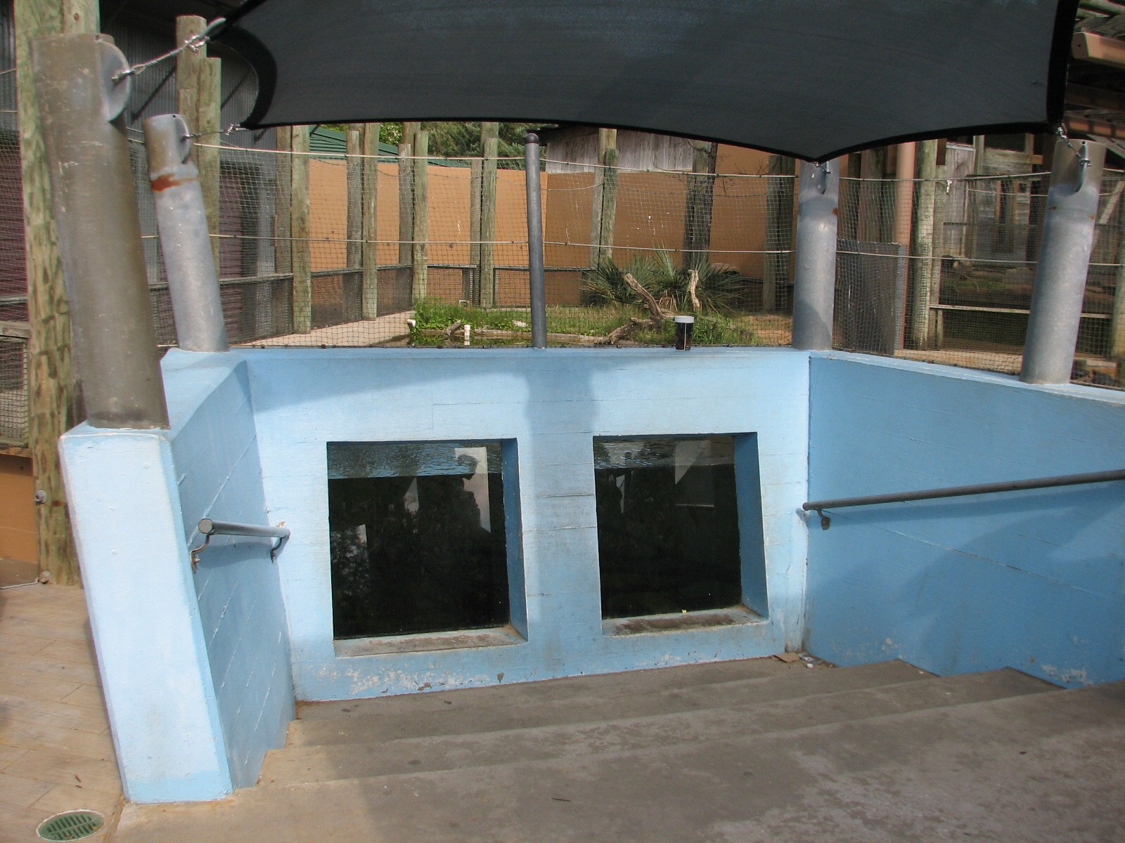 Childrens Zoo - Alligator Snapping Turtle Exhibit