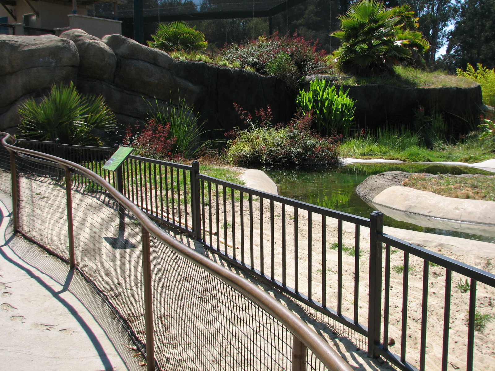 Childrens Zoo - American Alligator Exhibit - Beach Viewing Area