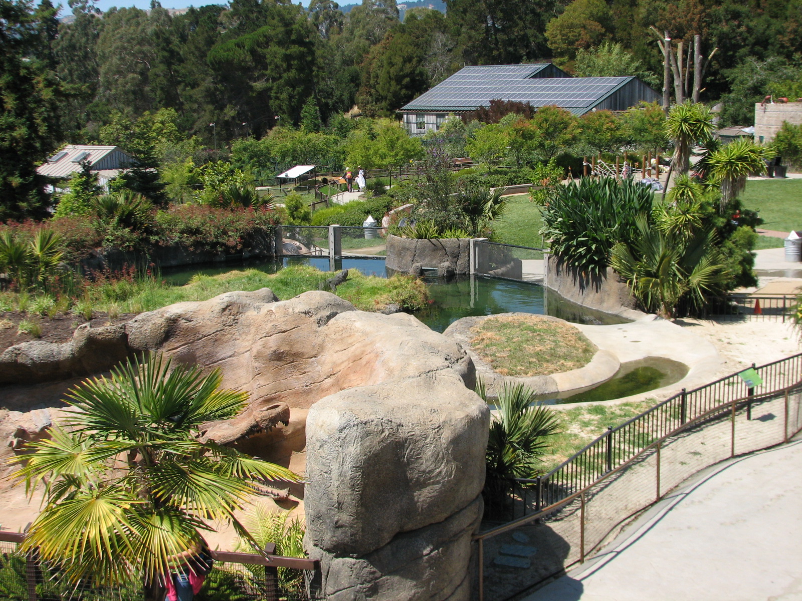 Childrens Zoo - American Alligator Exhibit - Overview