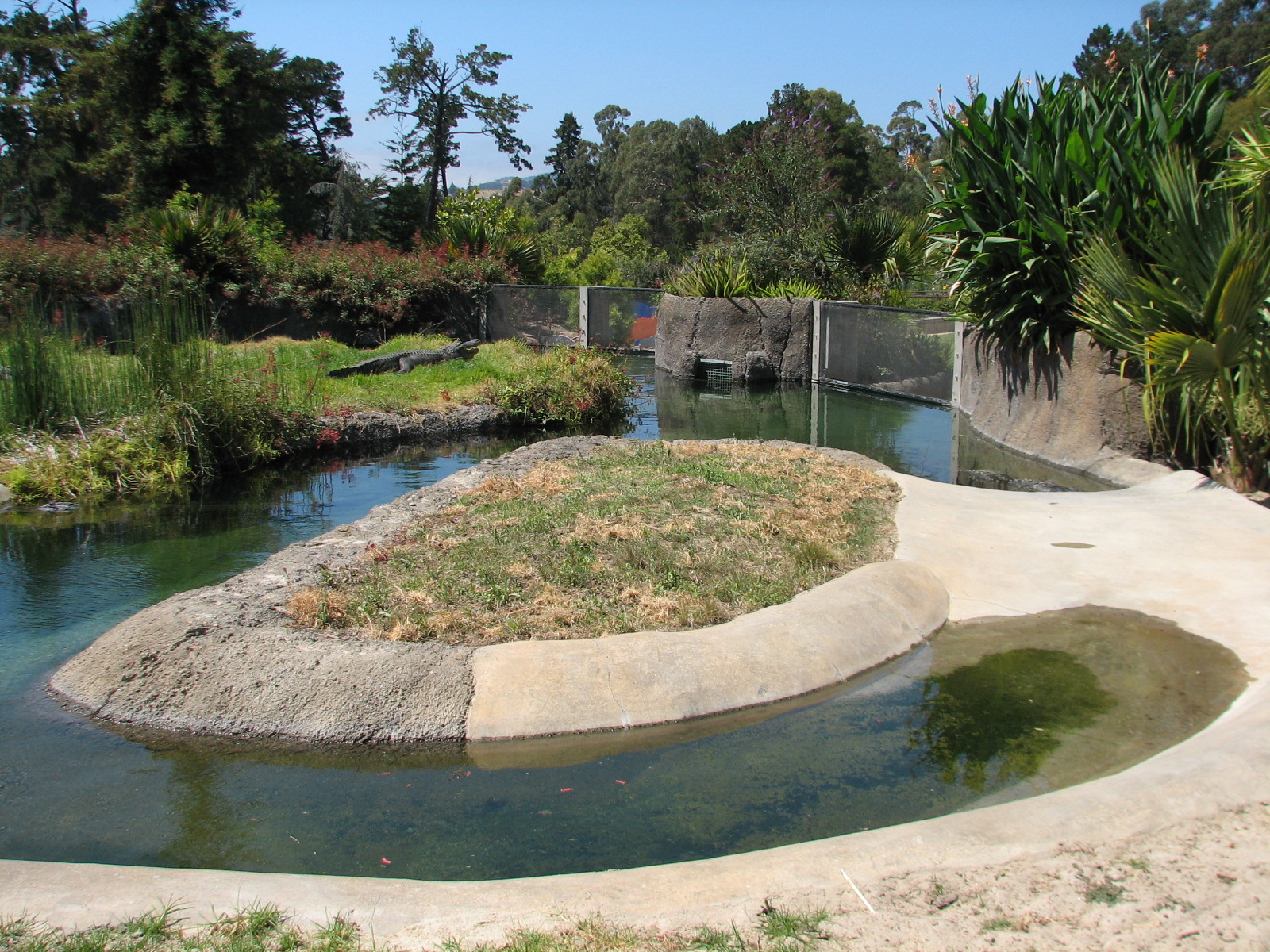 Childrens Zoo - American Alligator Exhibit