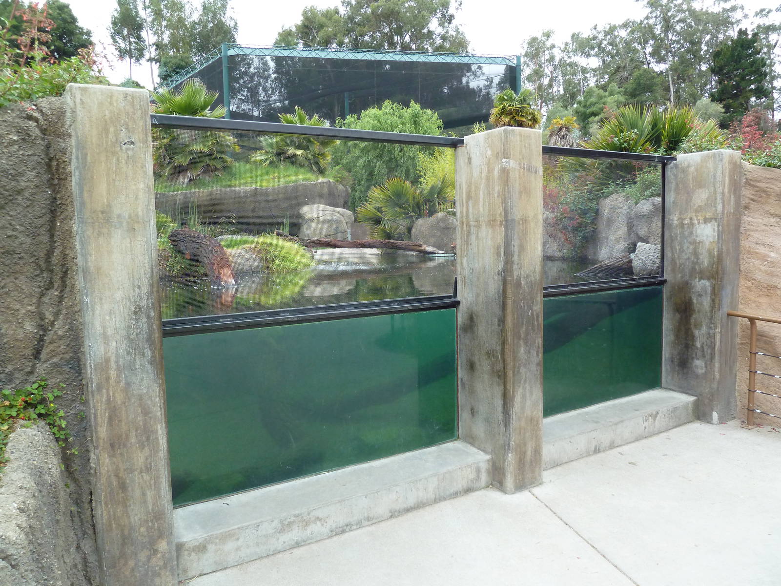 Children's Zoo - American Alligator Exhibit