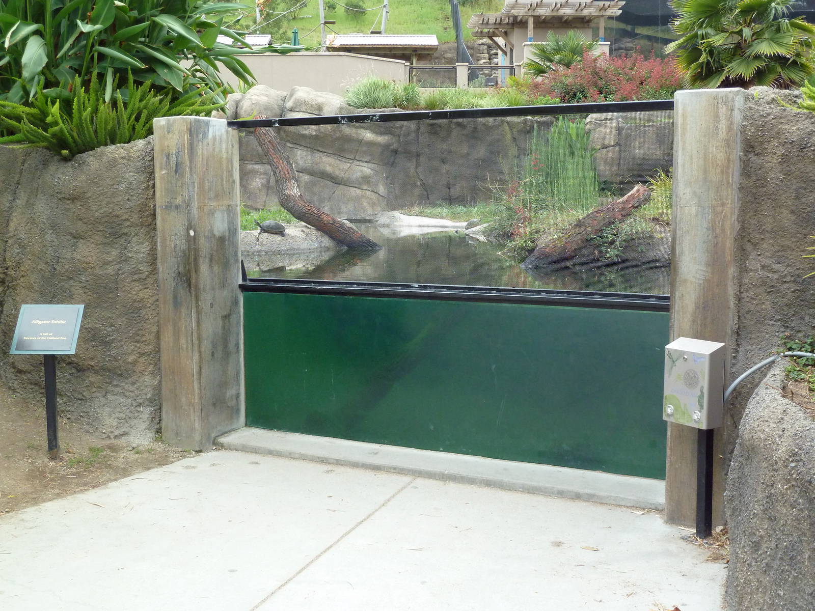 Children's Zoo - American Alligator Exhibit