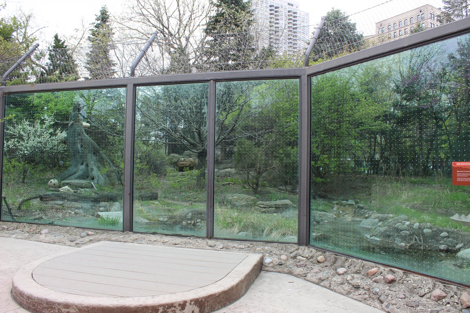 Children's Zoo - American Black Bear Exhibit