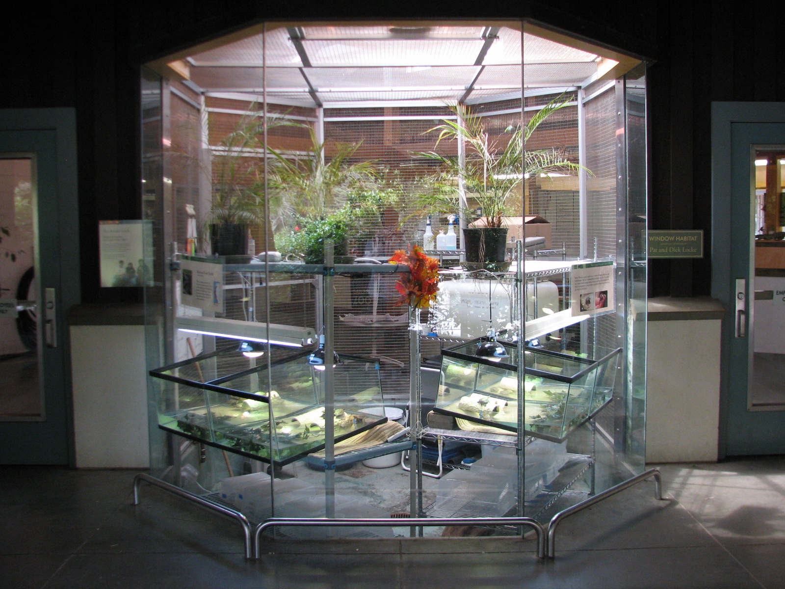 Childrens Zoo - Animal Resource Center - Western Pond Turtle Exhibits