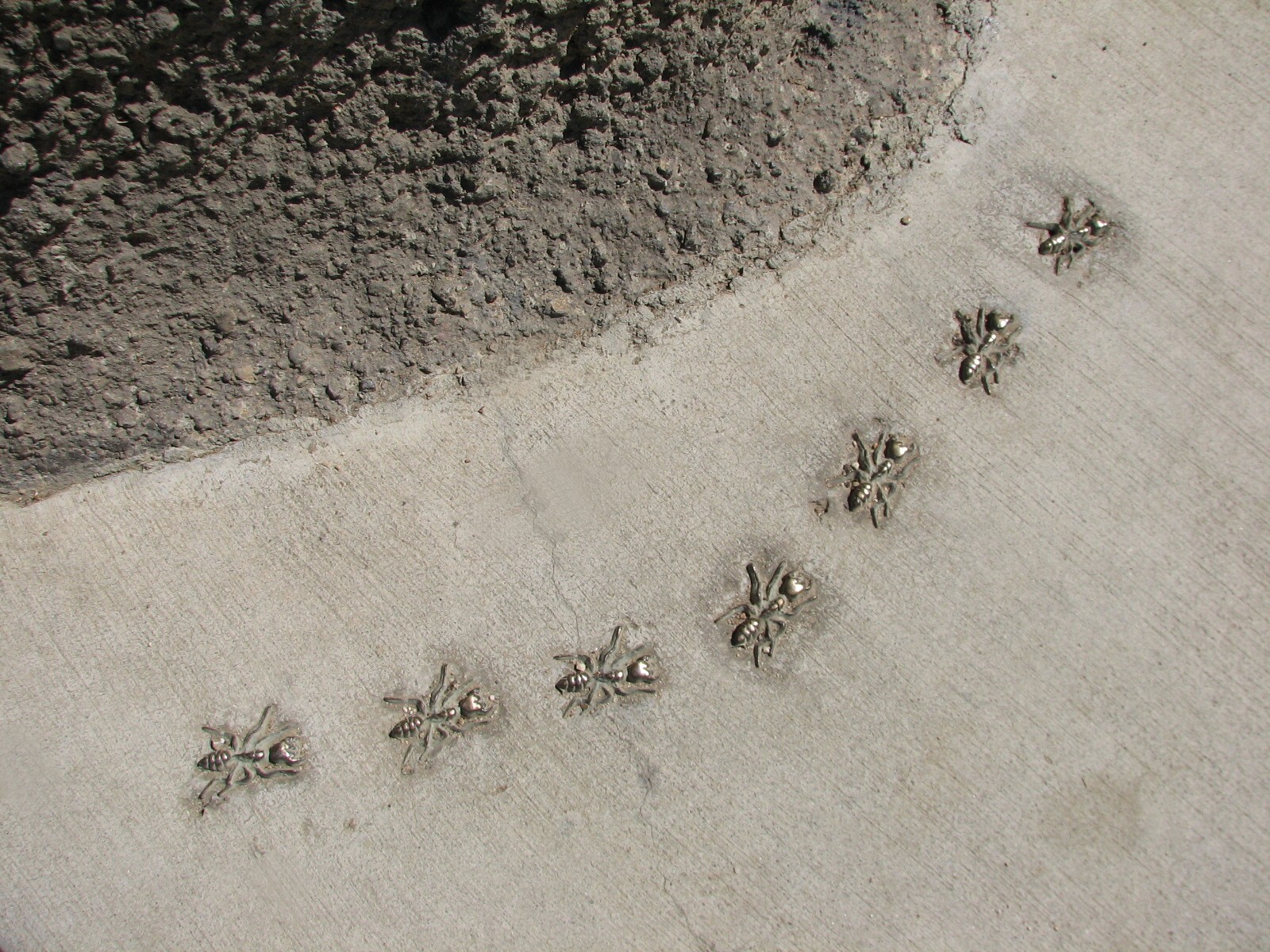 Childrens Zoo - Ant Sculptures