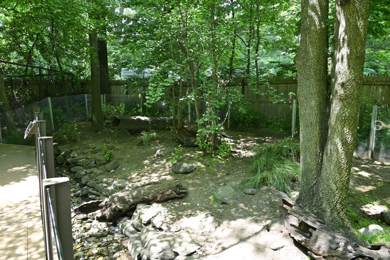 Children's Zoo - Asian Small-clawed Otter (Aonyx cinereus) Exhibit