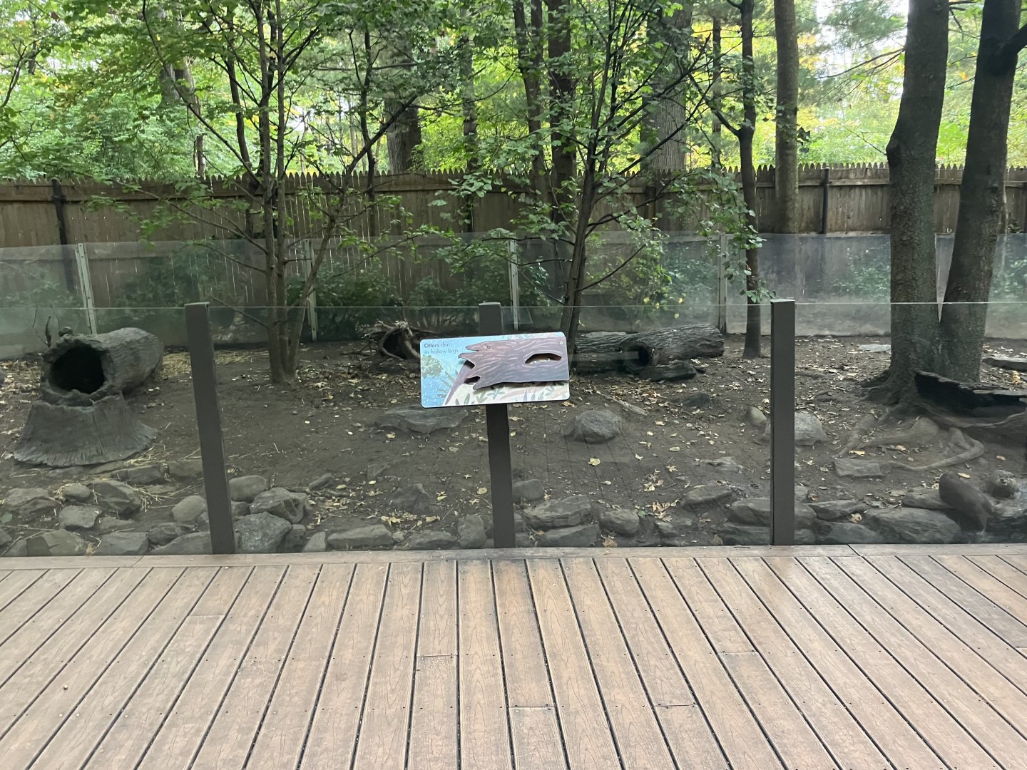Children’s Zoo - Asian Small-Clawed Otter Exhibit
