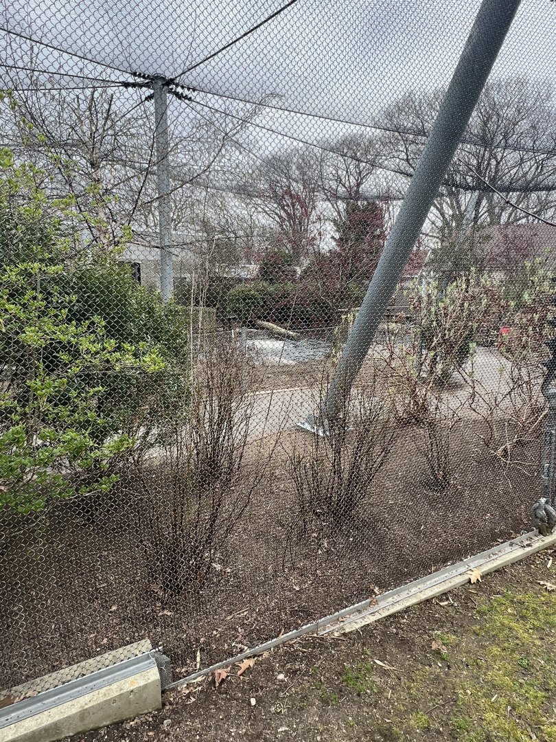 Children’s Zoo Aviary (from outside)