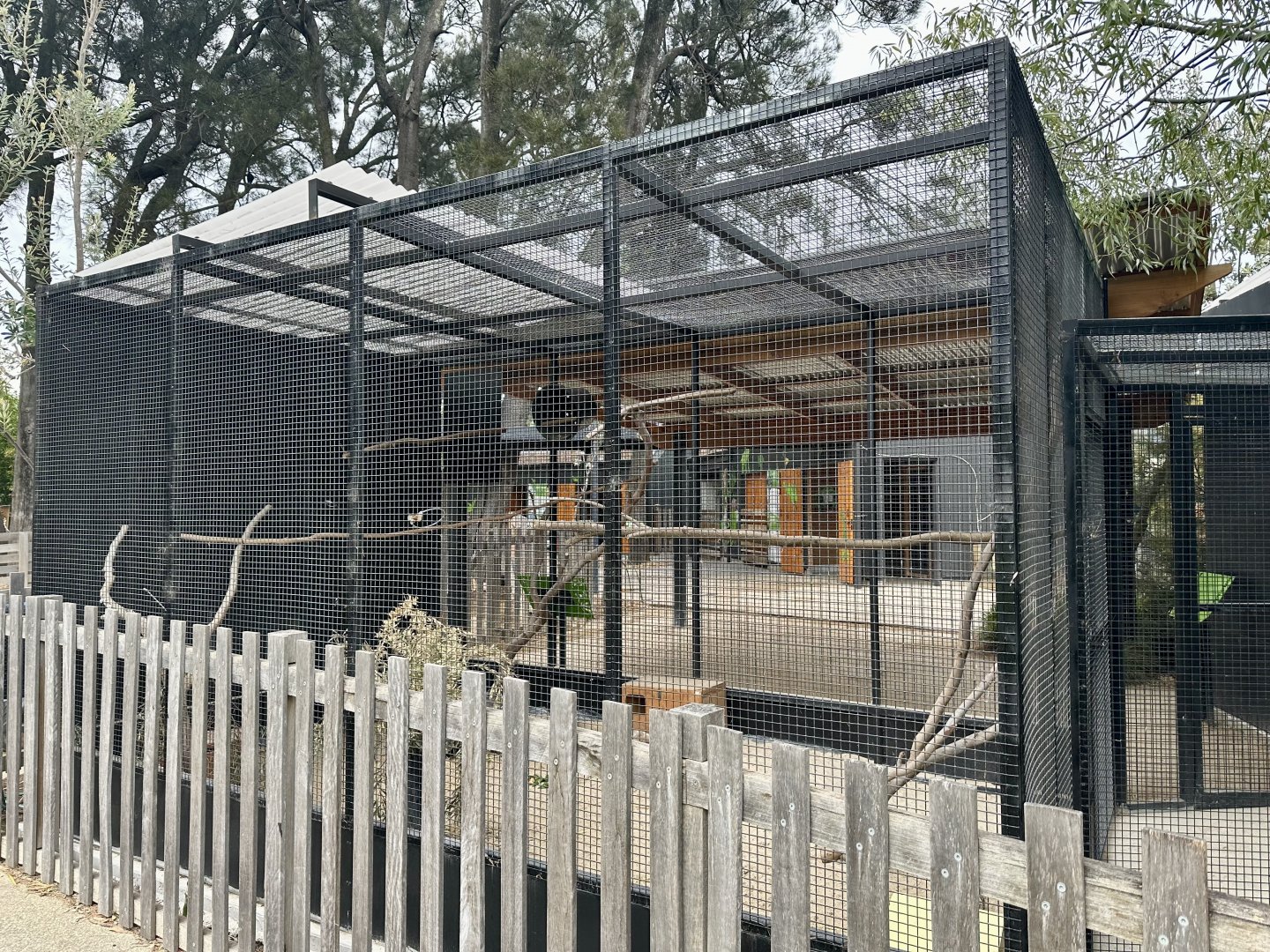Children’s Zoo - Aviary