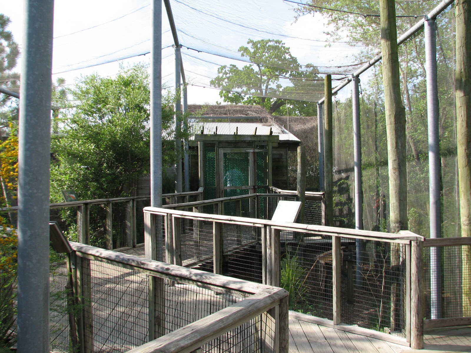 Childrens Zoo - Aviary