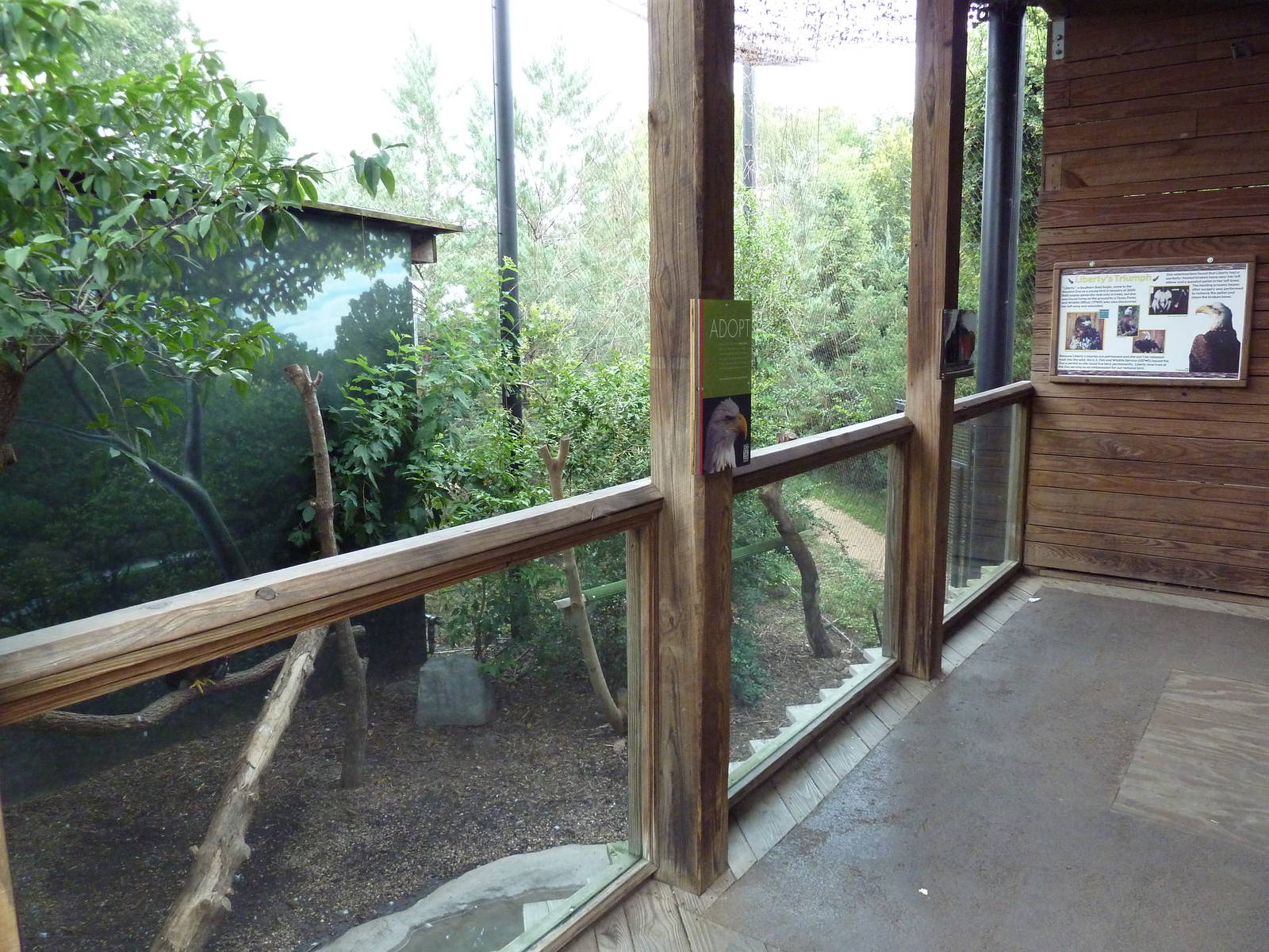 Children's Zoo - Bald Eagle Exhibit