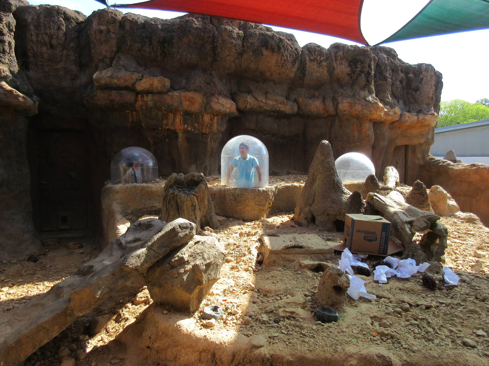 Children's Zoo - Banded Mongoose Exhibit (with humans!)