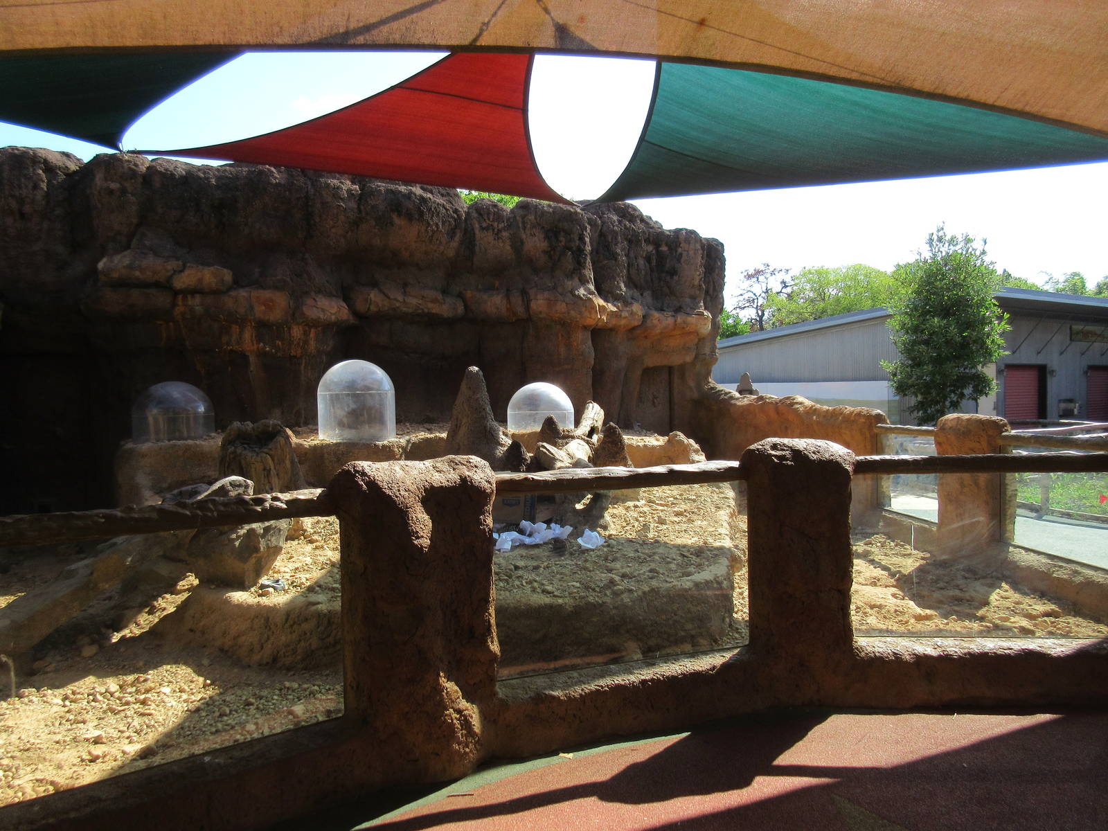 Children's Zoo - Banded Mongoose Exhibit