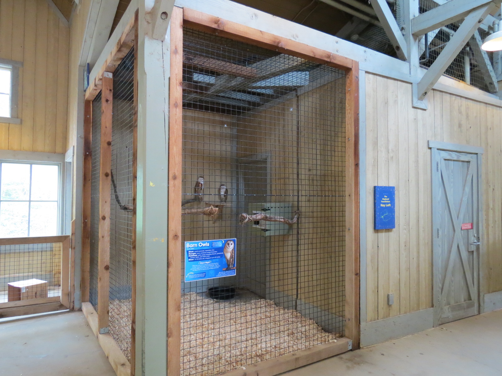 Childrens Zoo - Barn Owl Exhibit