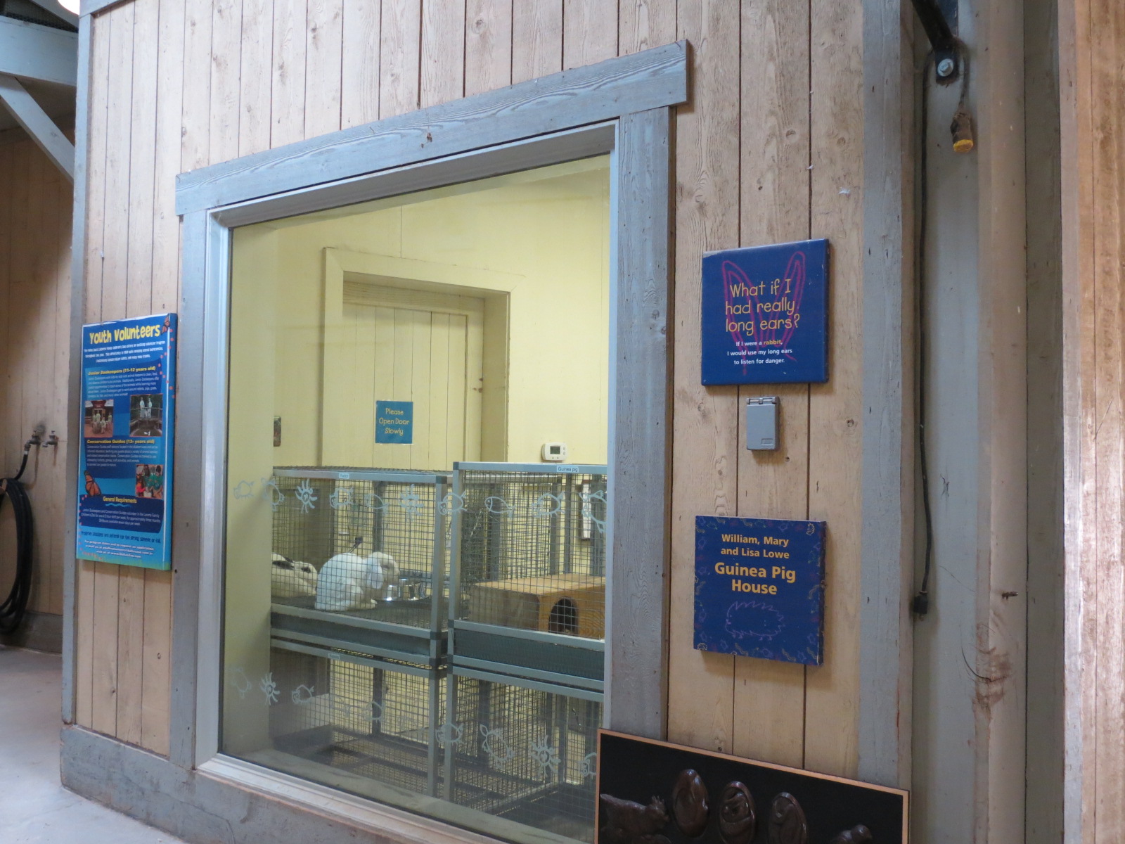 Childrens Zoo - Barn - Rabbit Exhibit