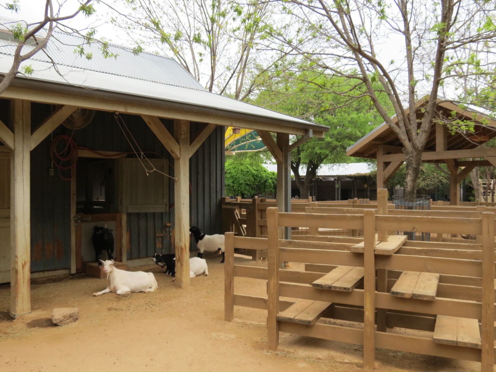 Childrens Zoo - Barnyard