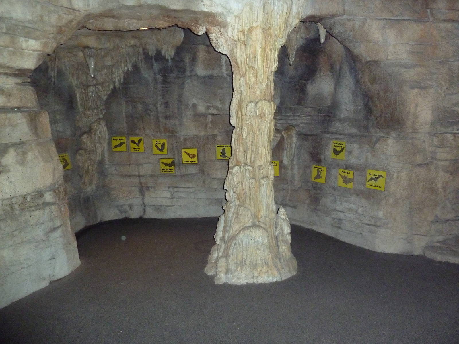 Children's Zoo - Bat Cave