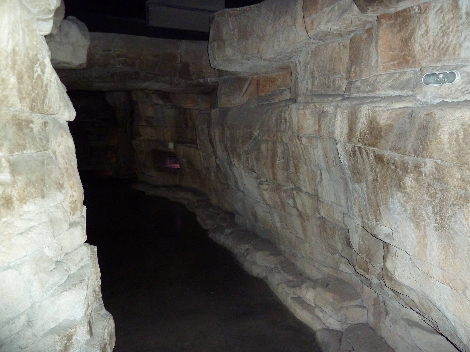 Children's Zoo - Bat Cave