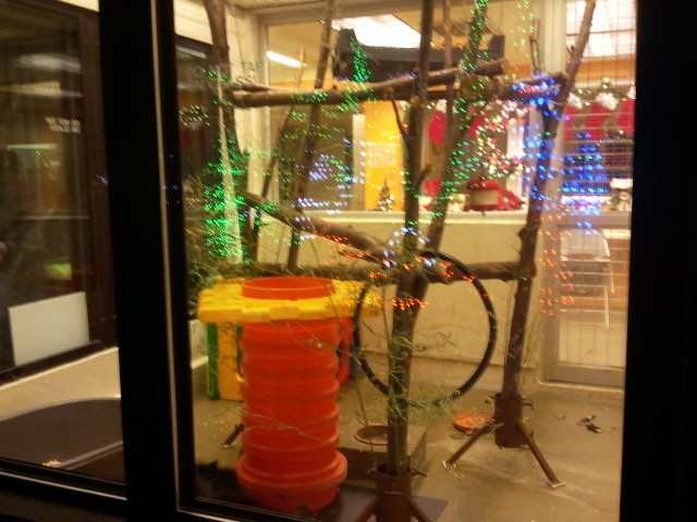 Children's Zoo-Bearcat nursery