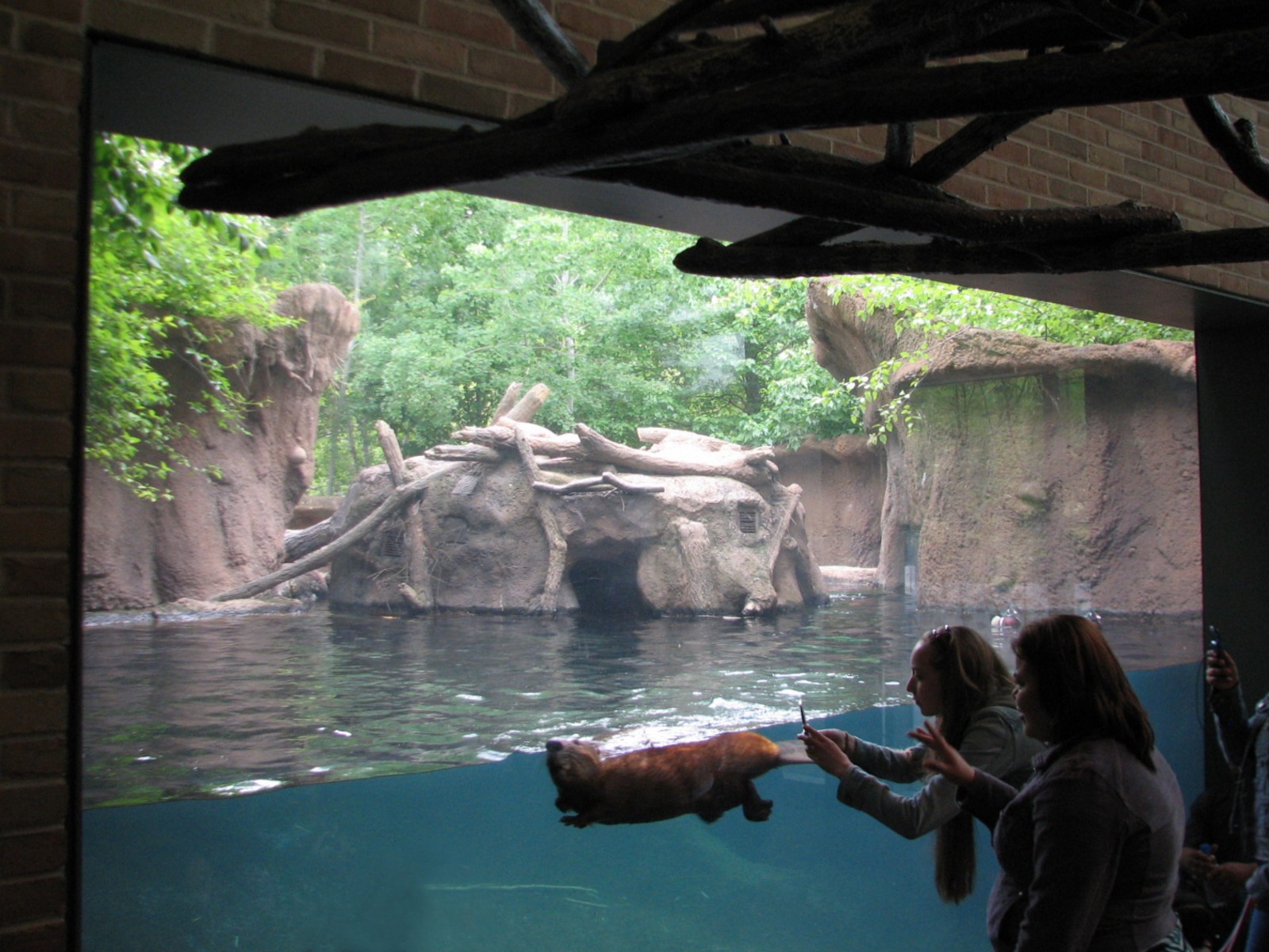 Childrens Zoo - Beaver Exhibit