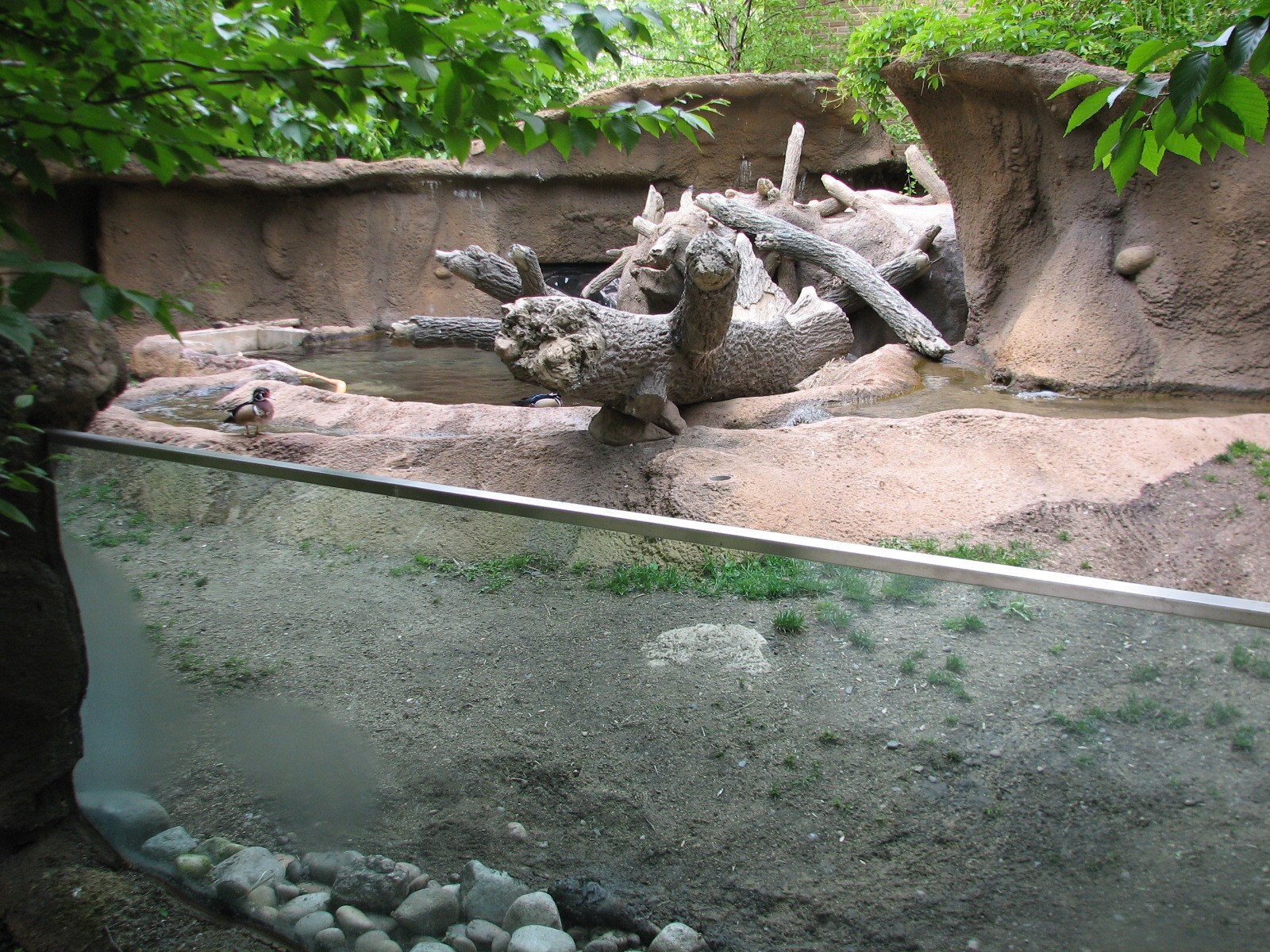Childrens Zoo - Beaver Exhibit