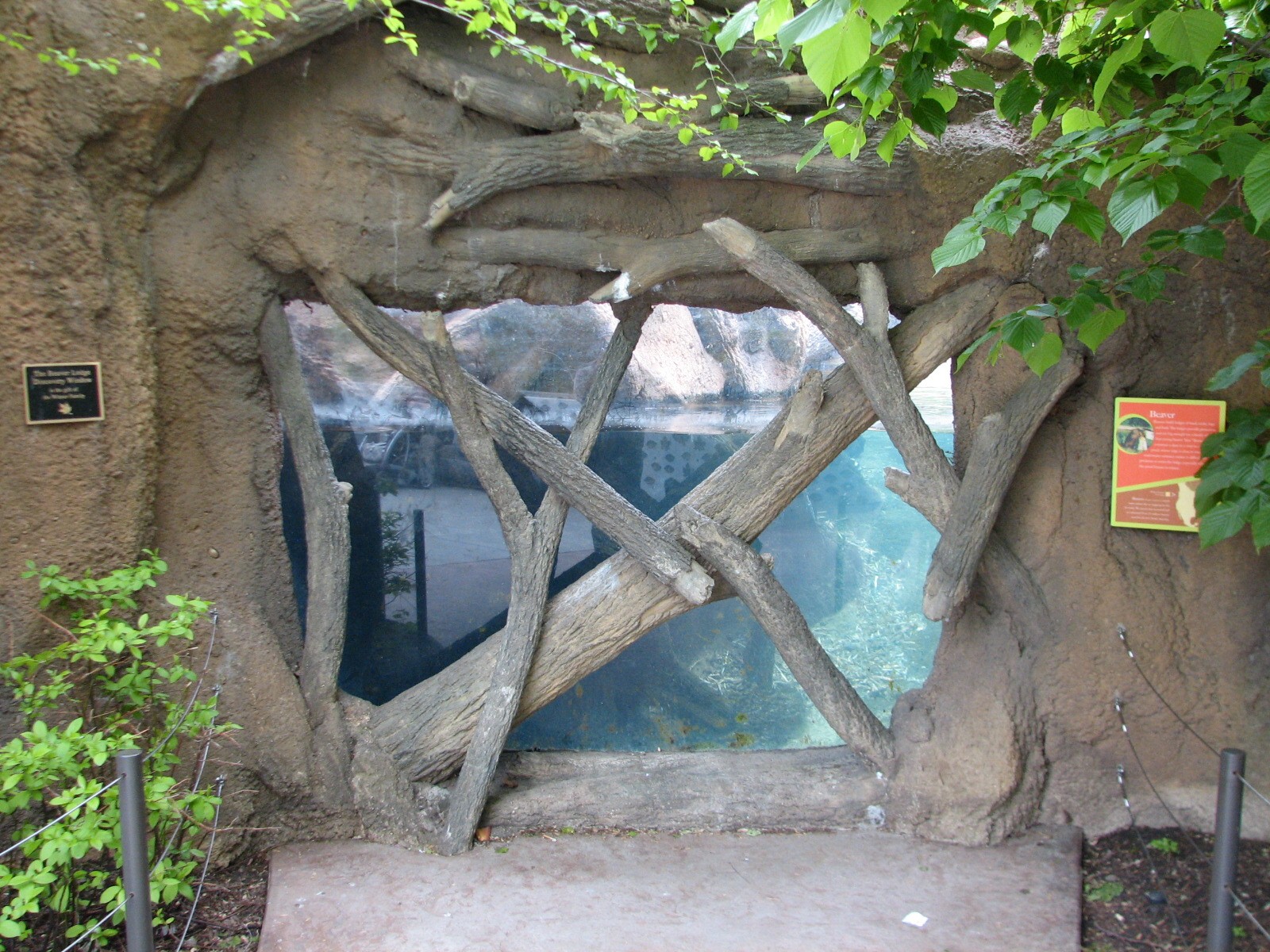 Childrens Zoo - Beaver Exhibit