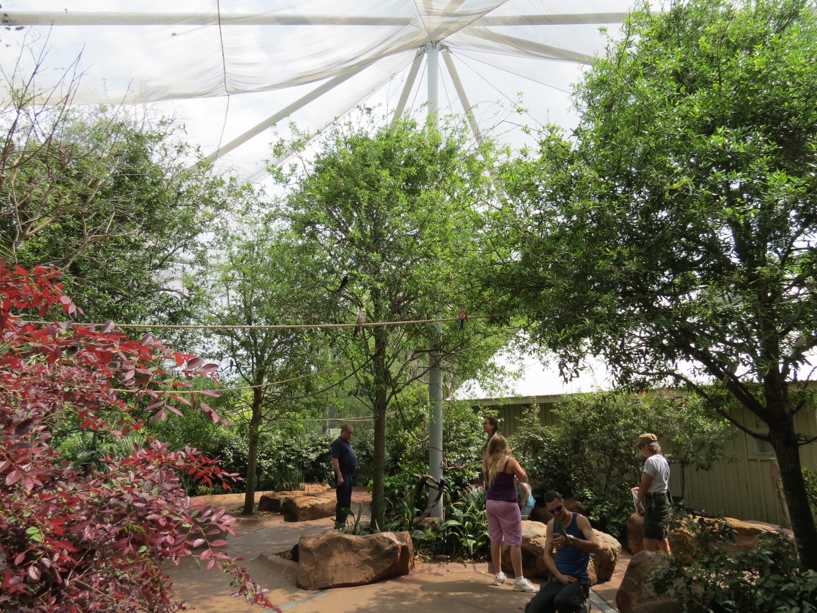 Childrens Zoo - Bird Landing - Interior
