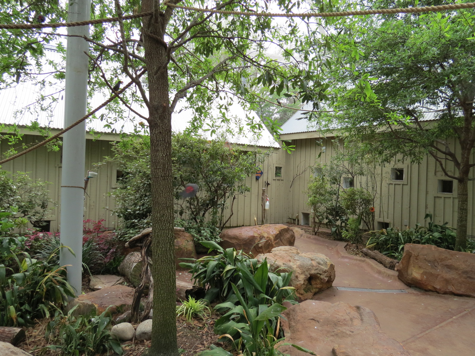 Childrens Zoo - Bird Landing - Interior