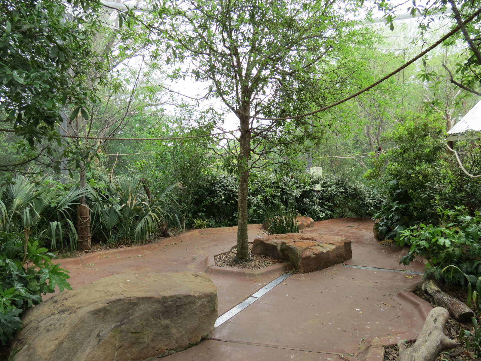 Childrens Zoo - Bird Landing - Interior