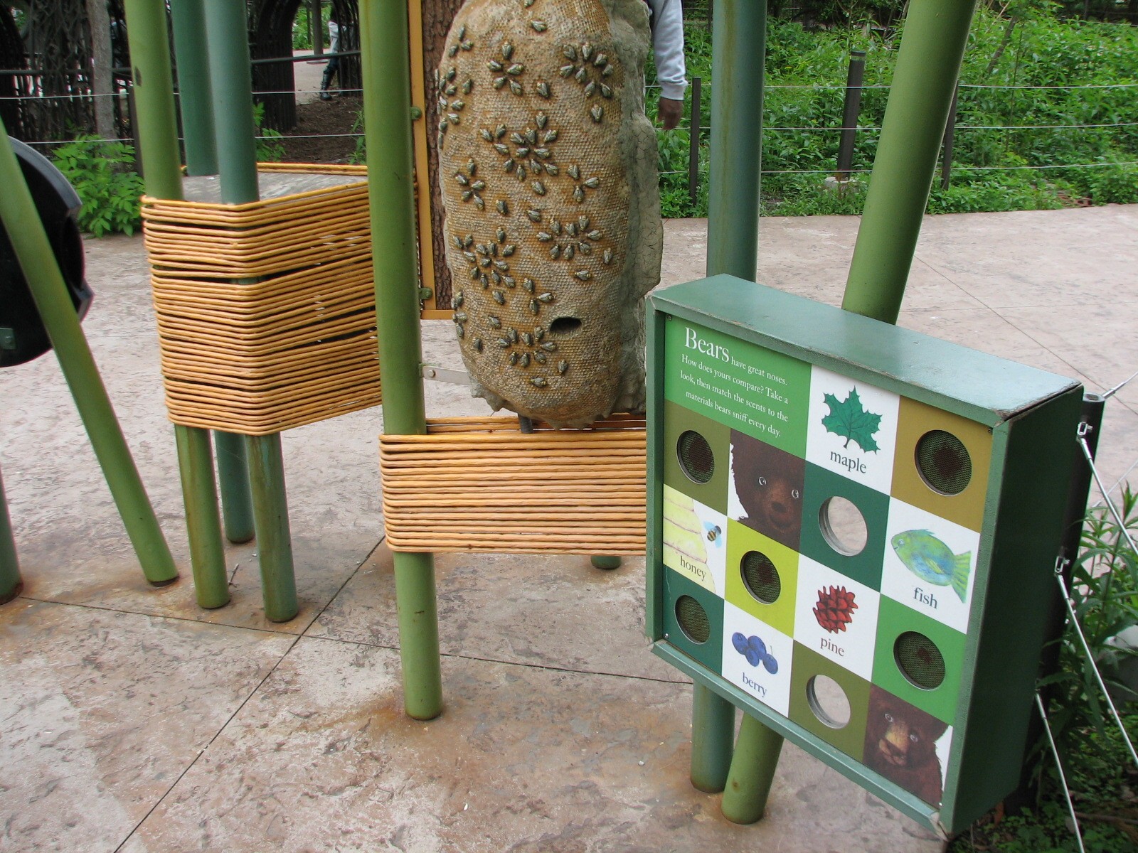 Childrens Zoo - Black Bear Exhibit Scent Display
