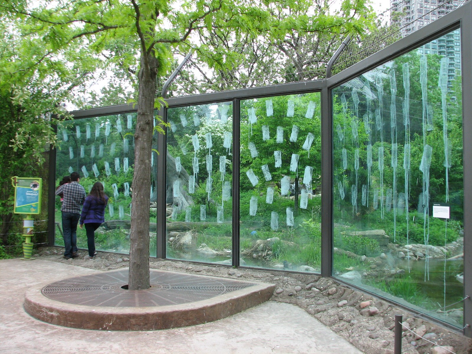 Childrens Zoo - Black Bear Exhibit Viewing Area