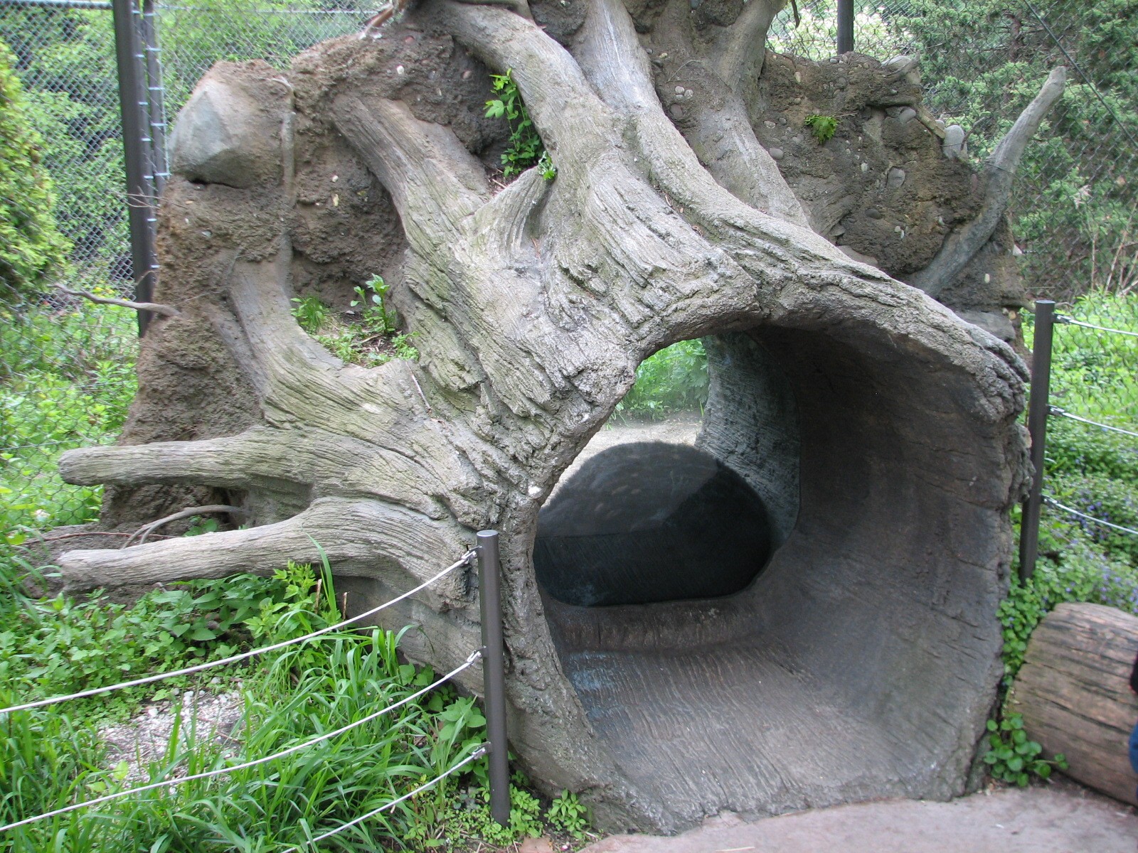 Childrens Zoo - Black Bear Exhibit