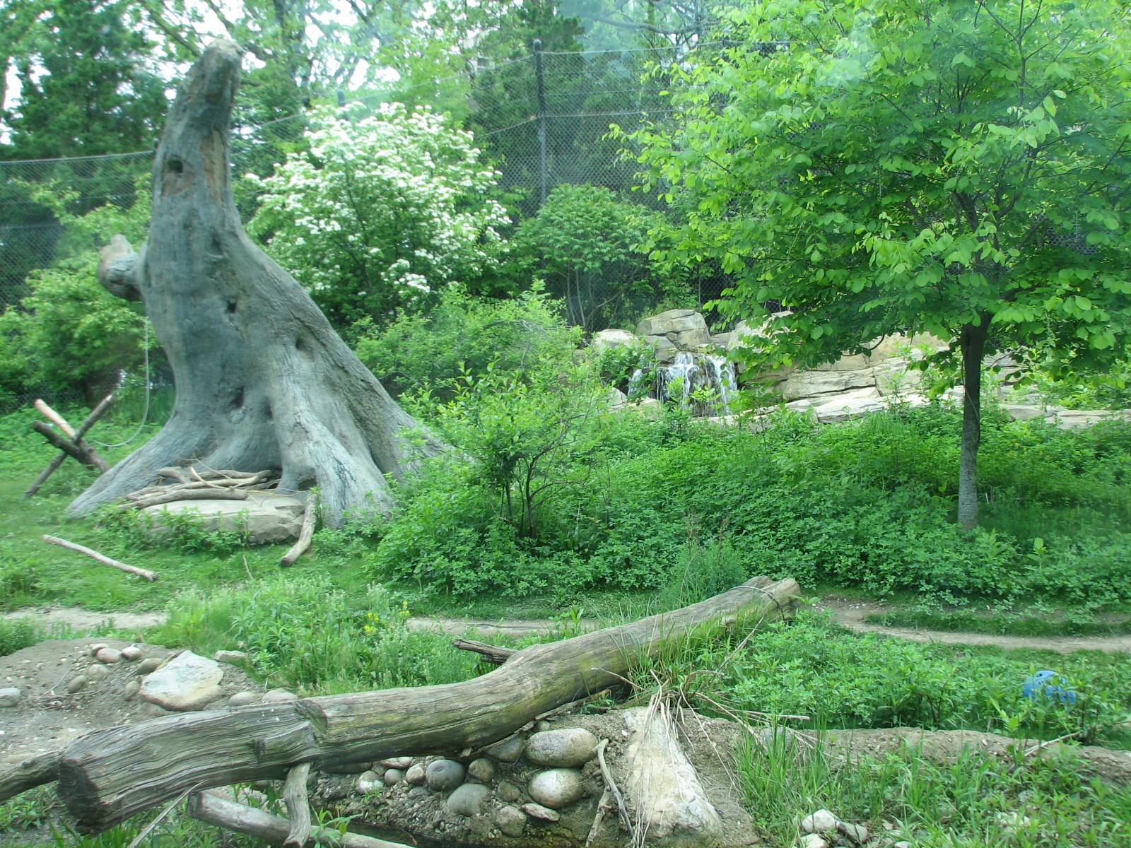 Childrens Zoo - Black Bear Exhibit
