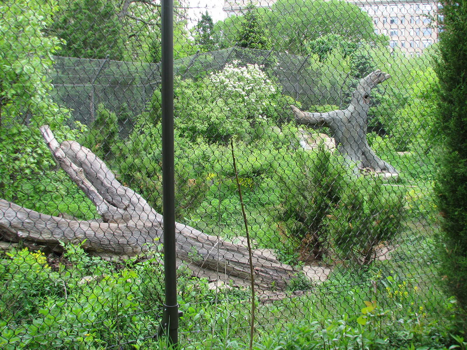 Childrens Zoo - Black Bear Exhibit