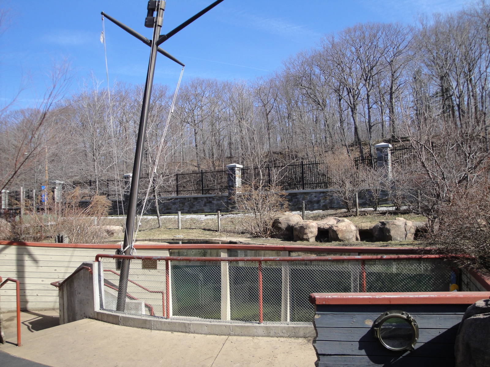 Children's Zoo - Black-footed Penguin Exhibit