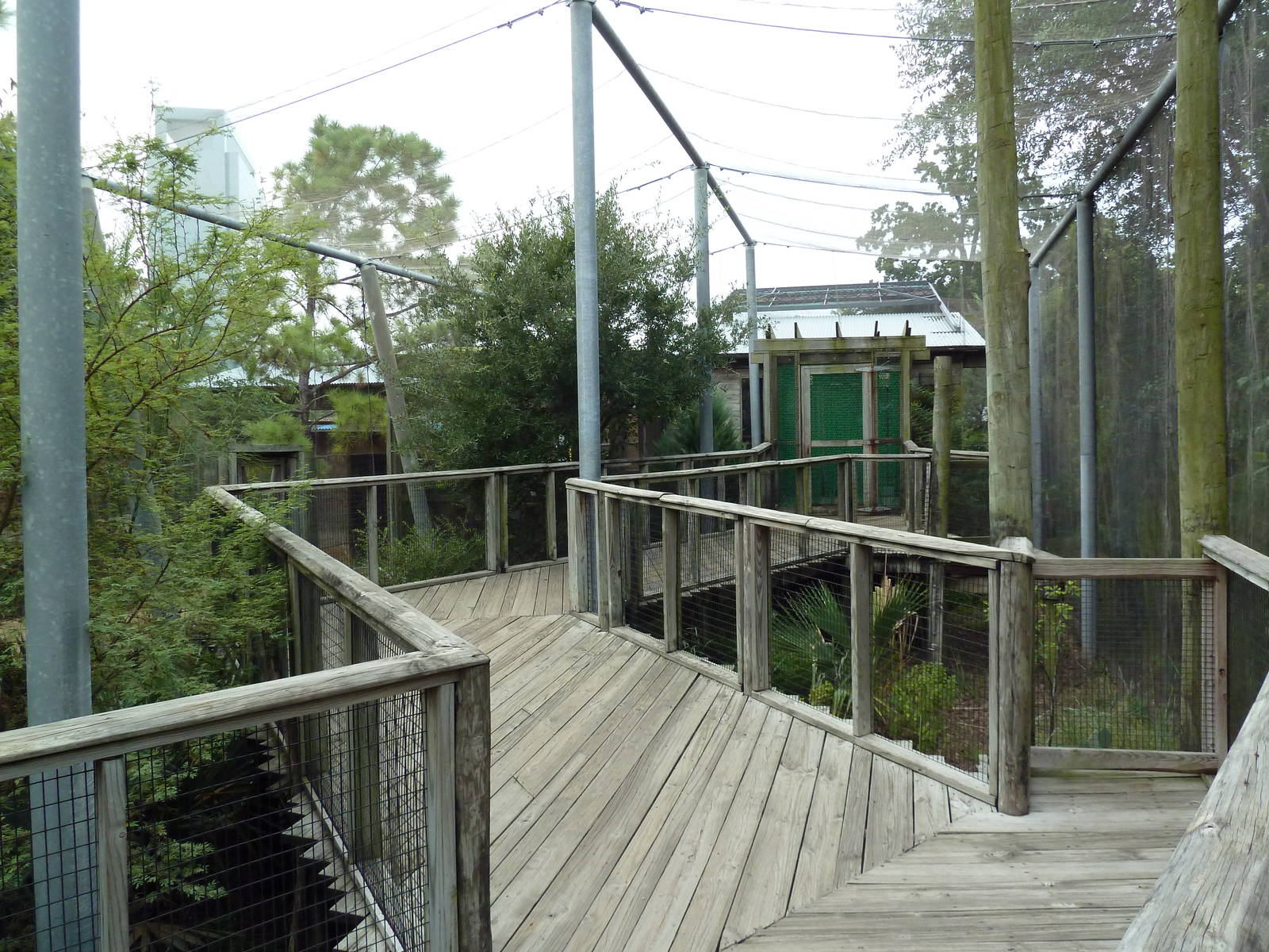 Children's Zoo - Boardwalk