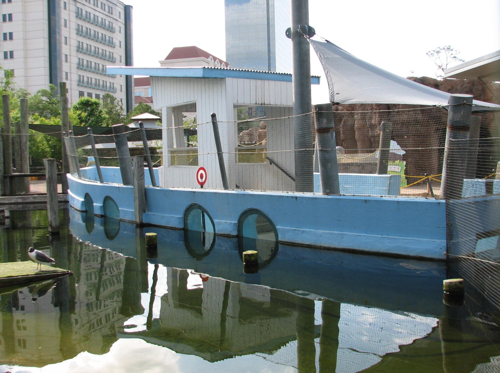 Childrens Zoo - Brown Pelican Exhibit