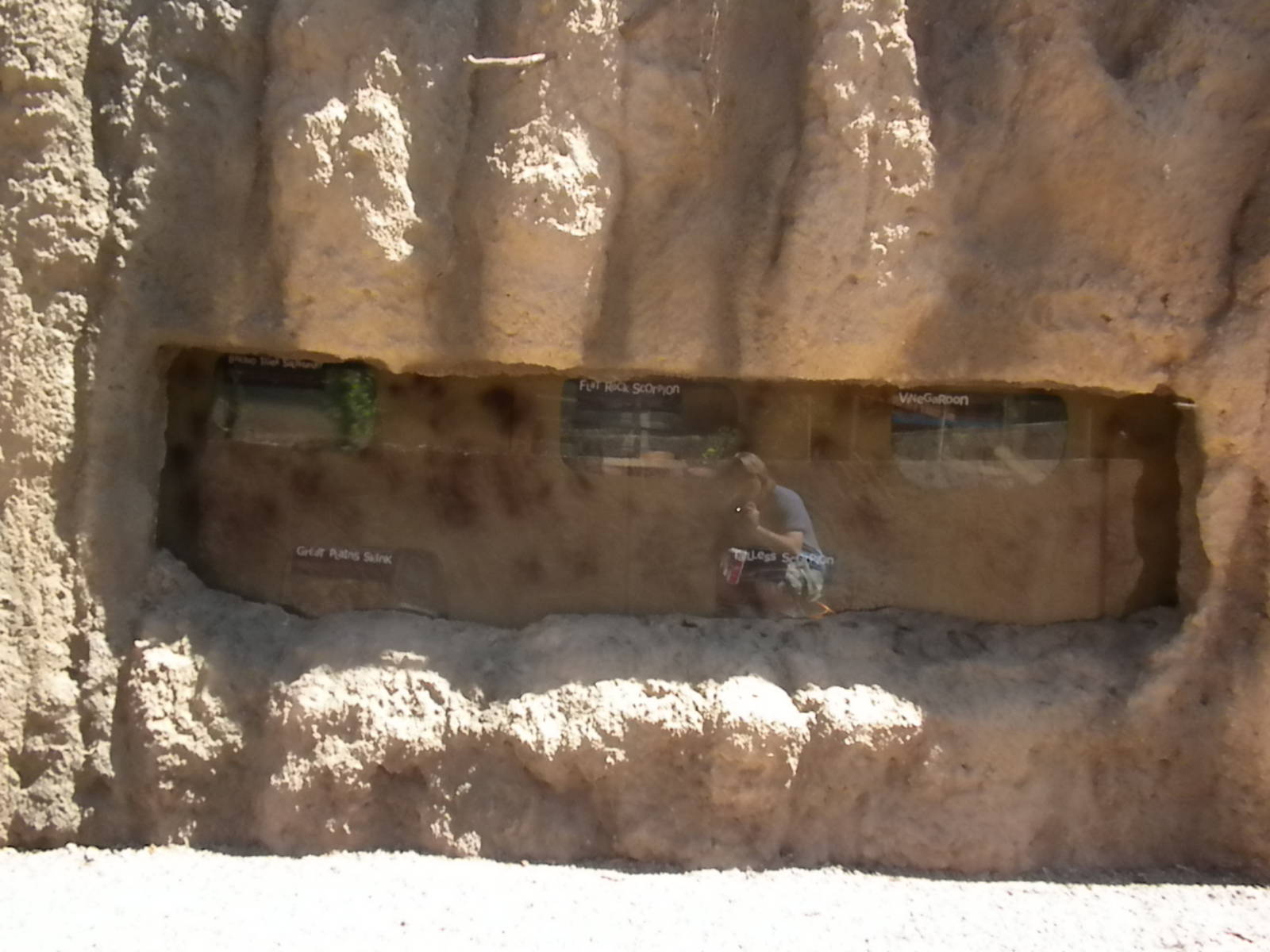 Children's Zoo - Bug exhibits