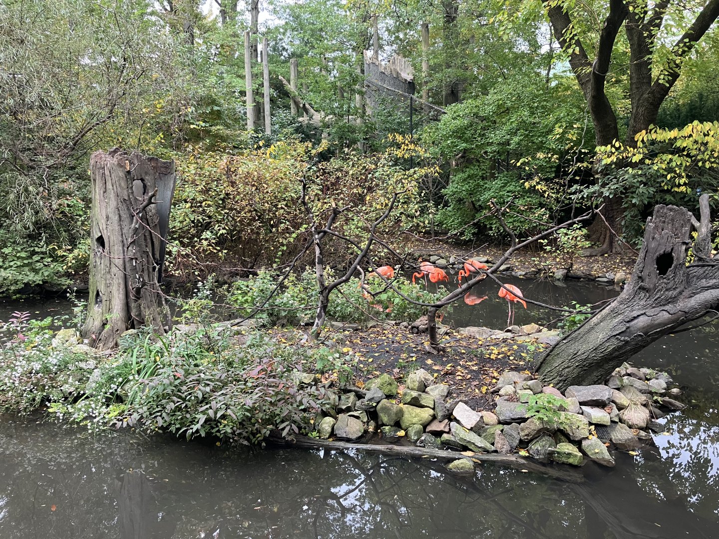 Children’s Zoo - Common Squirrel Monkey/Southern Screamer/American Flamingo Exhibit
