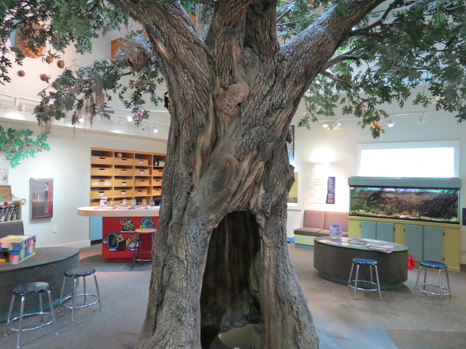 Childrens Zoo - Discovery House Interior