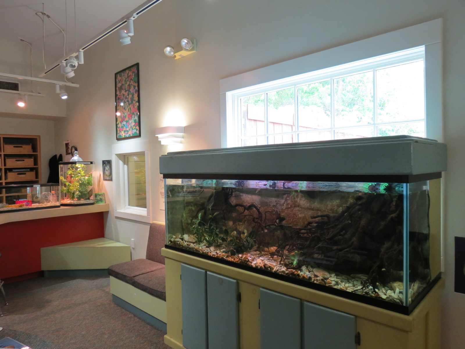Childrens Zoo - Discovery House Interior