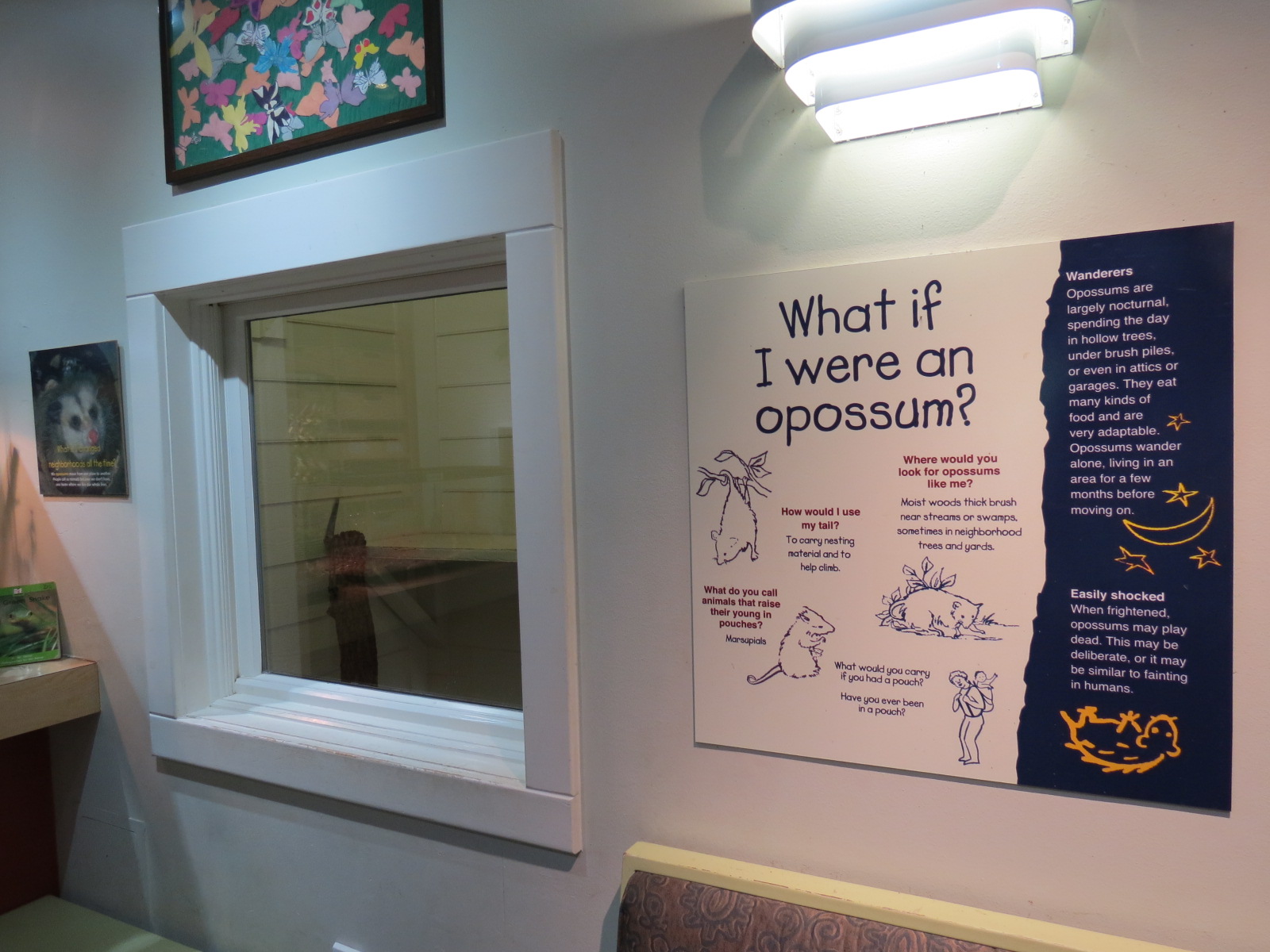 Childrens Zoo - Discovery House Opossum Exhibit