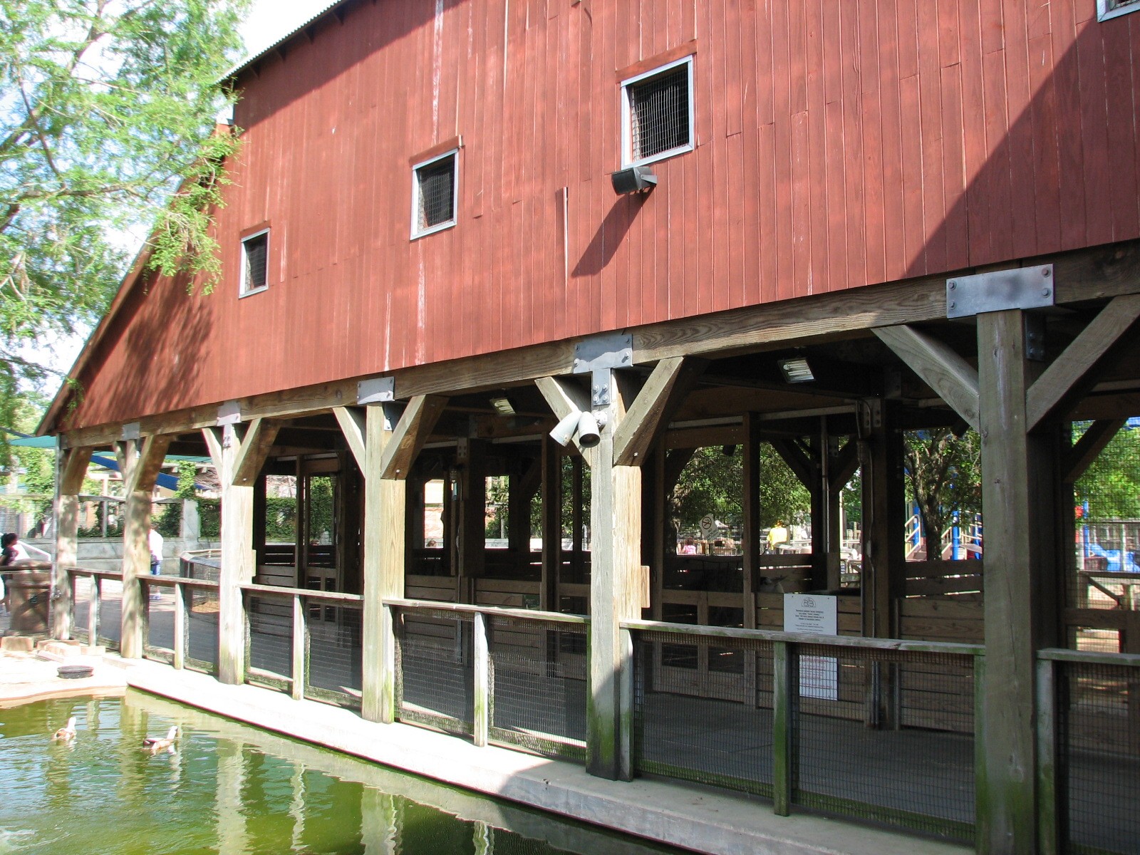 Childrens Zoo - Domestic Contact Barn