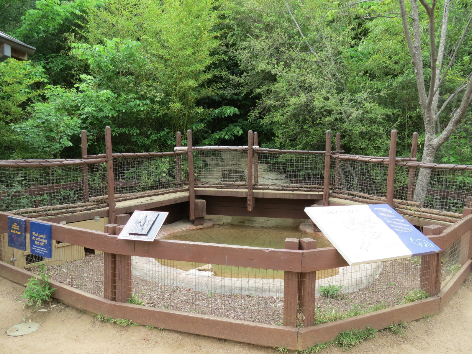 Childrens Zoo - Duck Pond