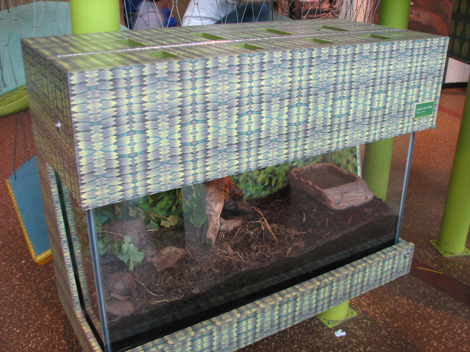 Childrens Zoo - Eastern Box Turtle Exhibit