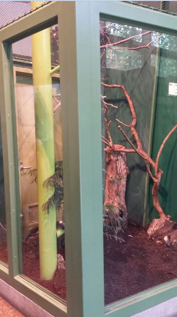 Children's Zoo - Eastern Screech Owl Exhibit