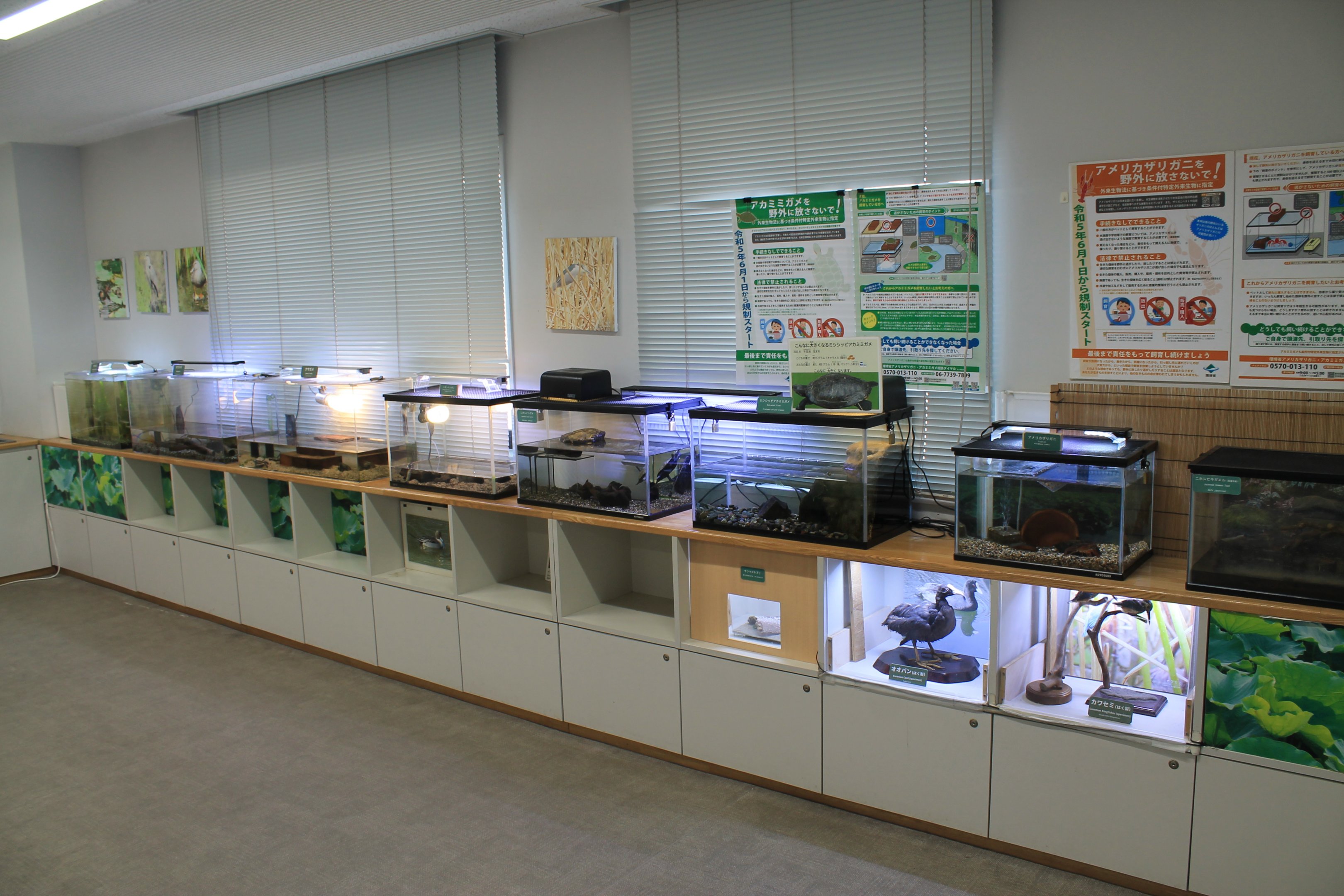 Childrens Zoo exhibition room